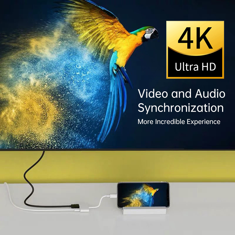 2020 neuer 4k 1080p 8pin Konve – Hdmi Phone Adapter Bewertung und Preis